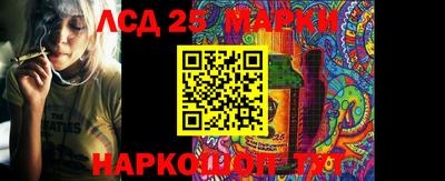 индика Партизанск