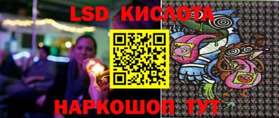 индика Партизанск