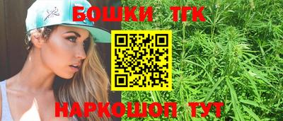 индика Партизанск