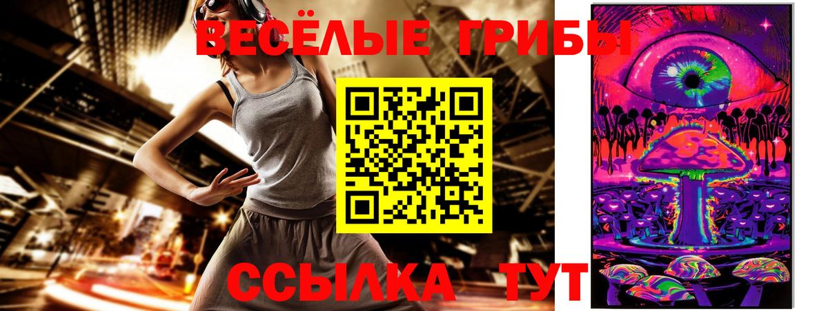 Галлюциногенные грибы Cubensis Россия